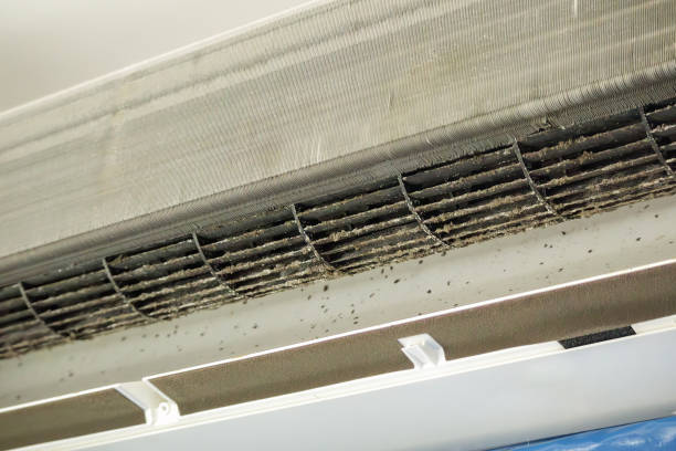 Best Ventilation Cleaning Services  in Bolivar, MO